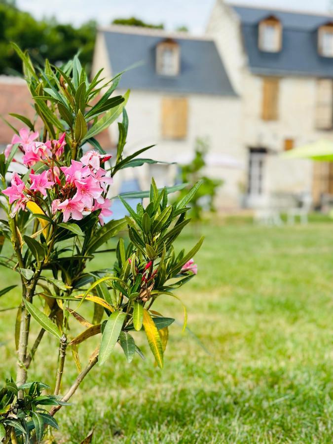 The Balzacienne Room In A Charming Mansion At The Gates Of Tours Saint-Avertin Exterior foto